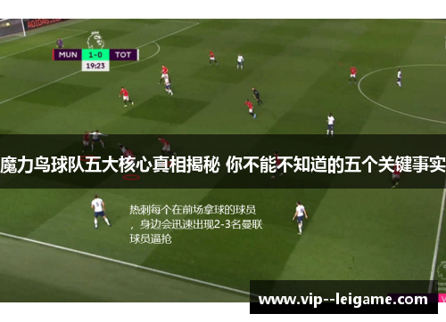 魔力鸟球队五大核心真相揭秘 你不能不知道的五个关键事实