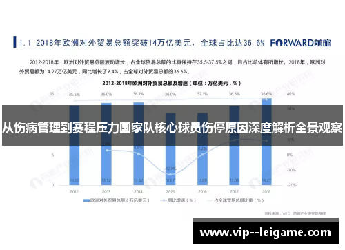 从伤病管理到赛程压力国家队核心球员伤停原因深度解析全景观察